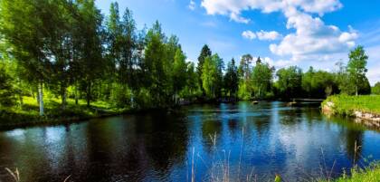 jokimaisema kesällä