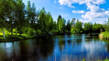 jokimaisema kesällä