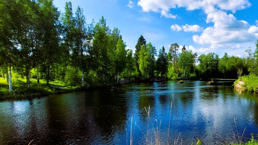 jokimaisema kesällä