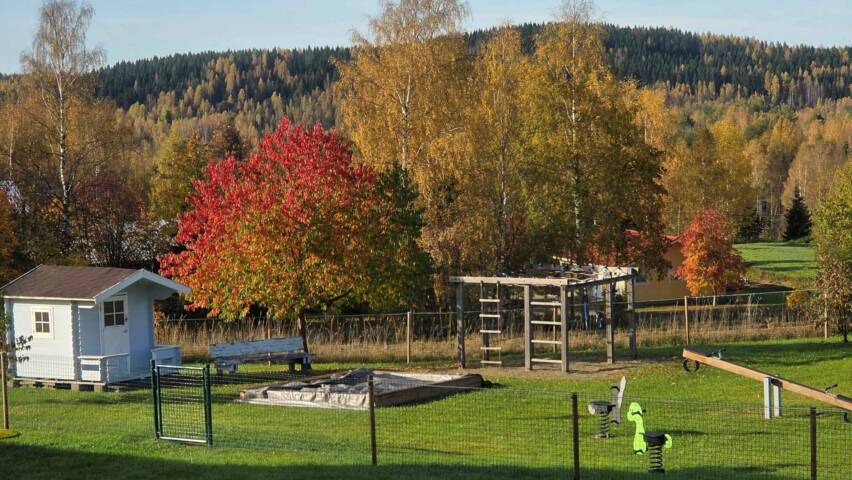 Kuvassa on näkymä syksyiseen luontoon Kemien srk-talon ikkunasta.